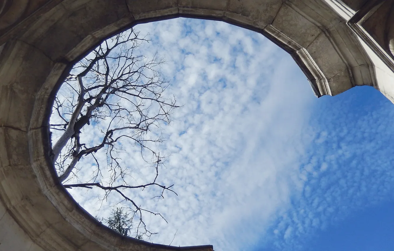 Фото обои небо, облака, фото, дерево, облако, беседка, широкоформатные, background
