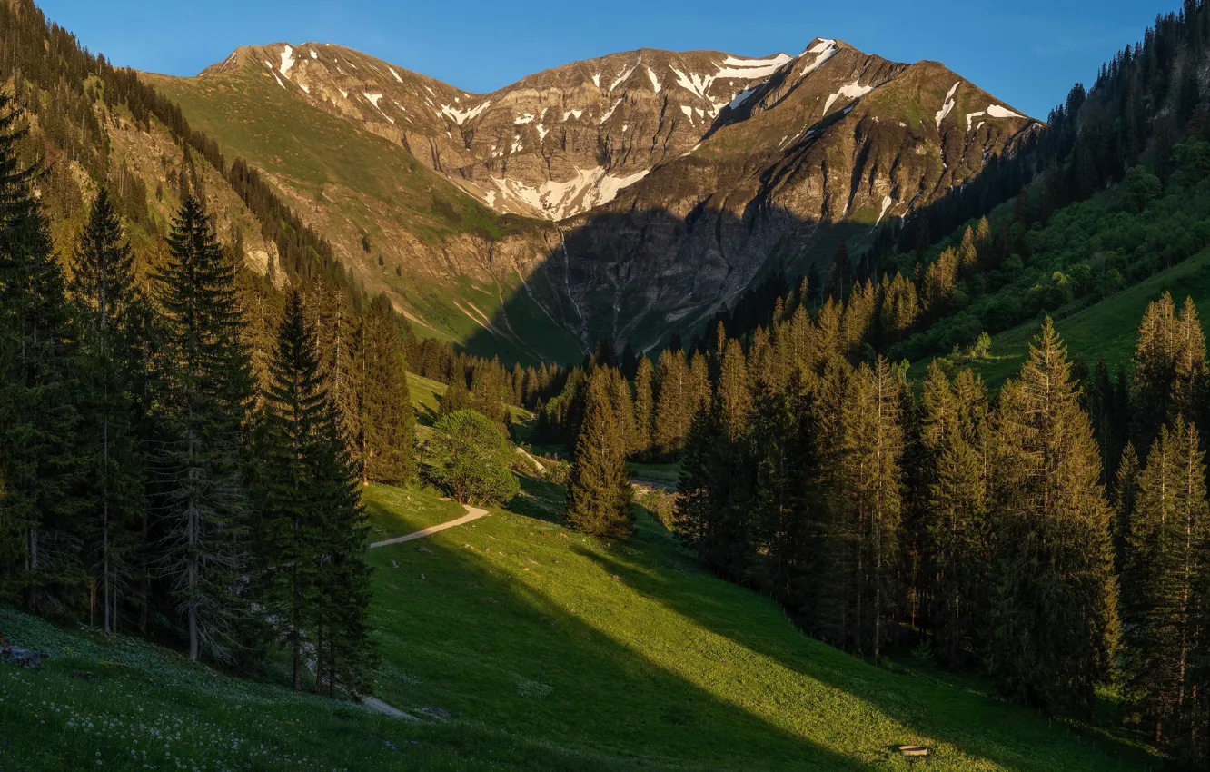 Фото обои лес, солнце, деревья, горы, тропа, Германия, Бавария, Альпы