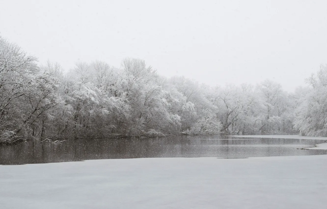 Фото обои river, trees, winter, snowing
