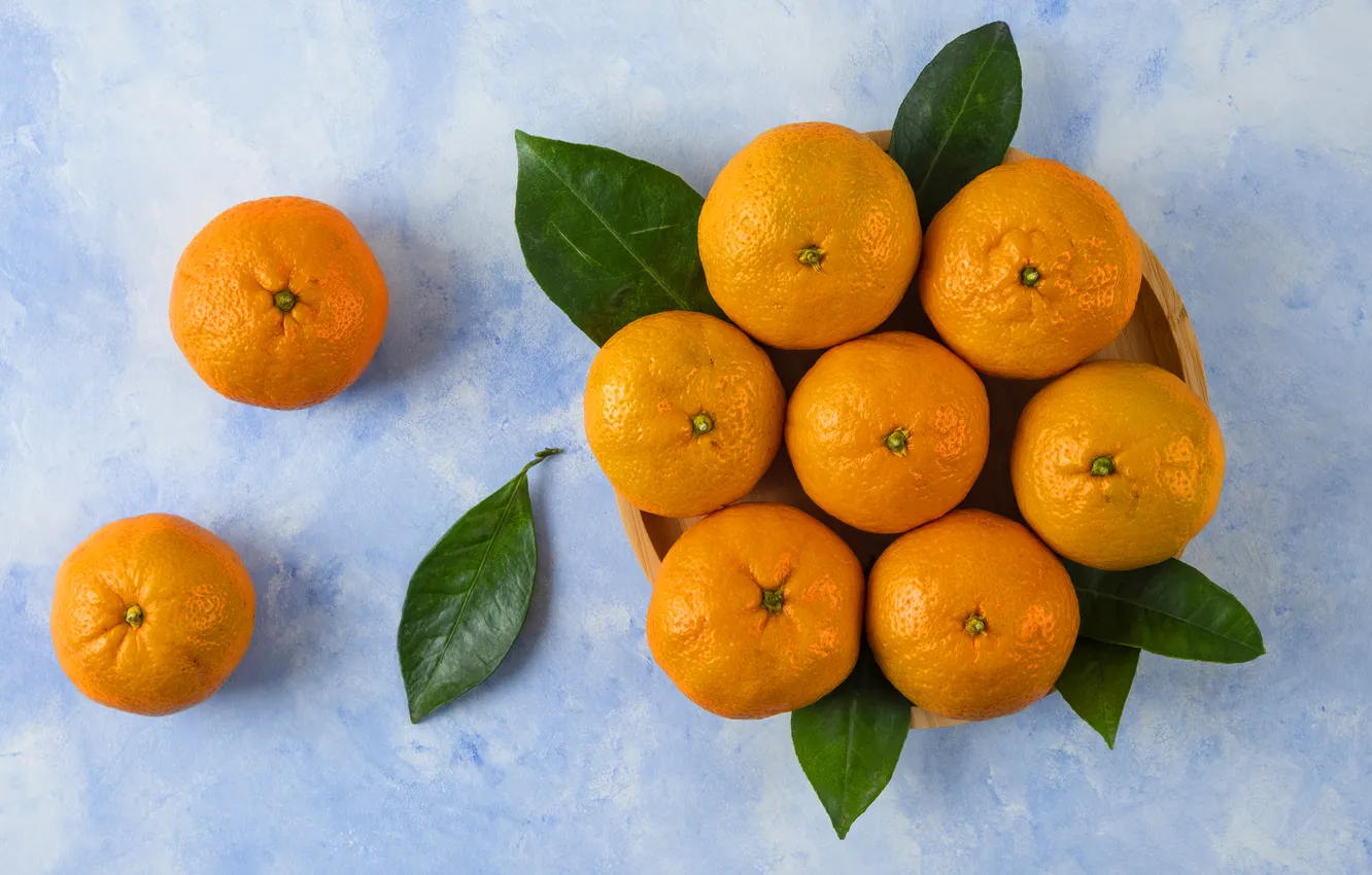 Фото обои листья, миска, фрукты, голубой фон, композиция, мандарины