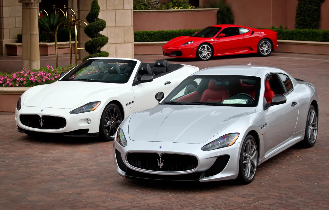Фото обои белый, трава, цветы, красный, серый, Maserati, silver, red
