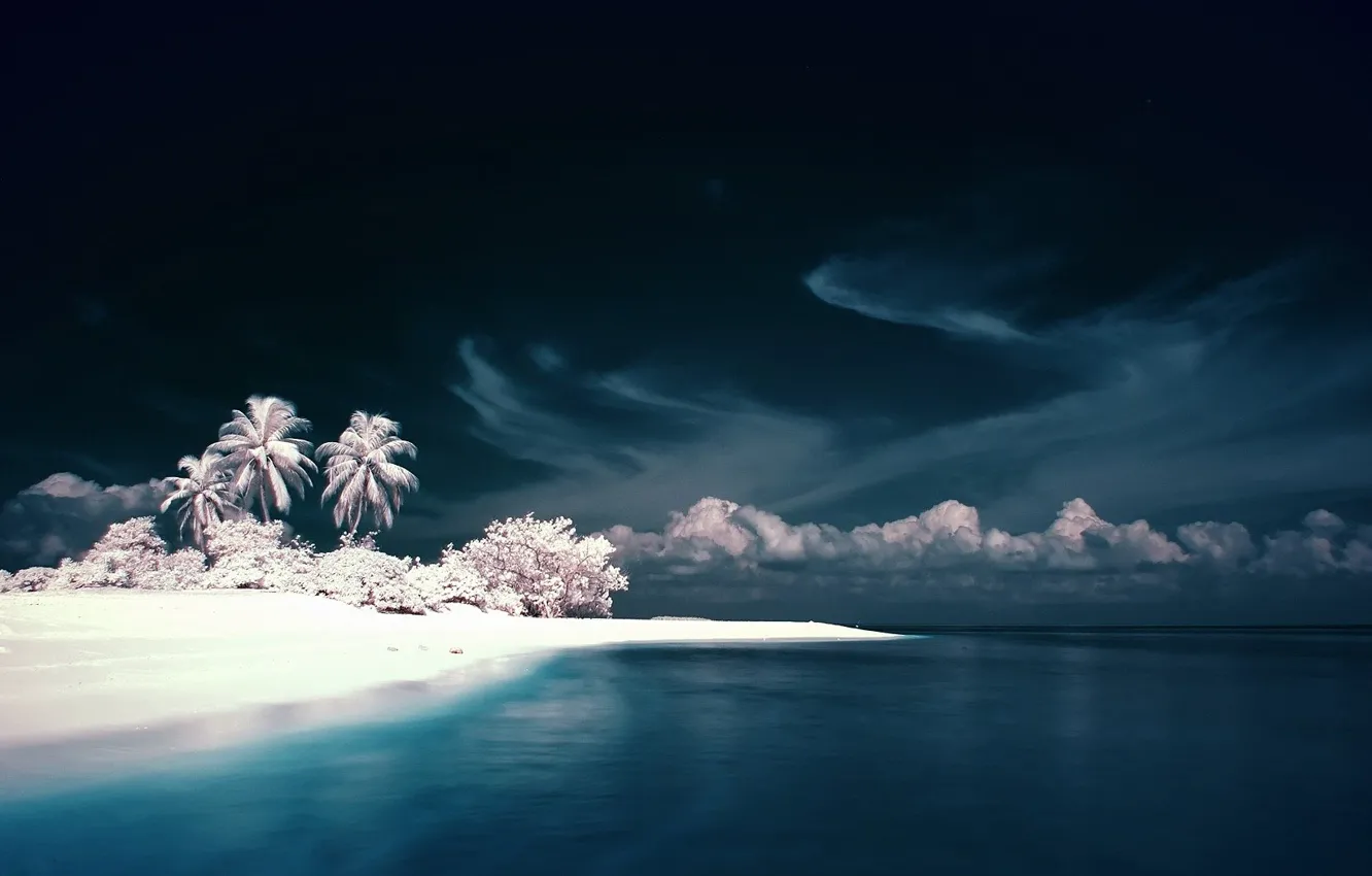 Фото обои Небо, Вода, Белый, Остров, Пальмы