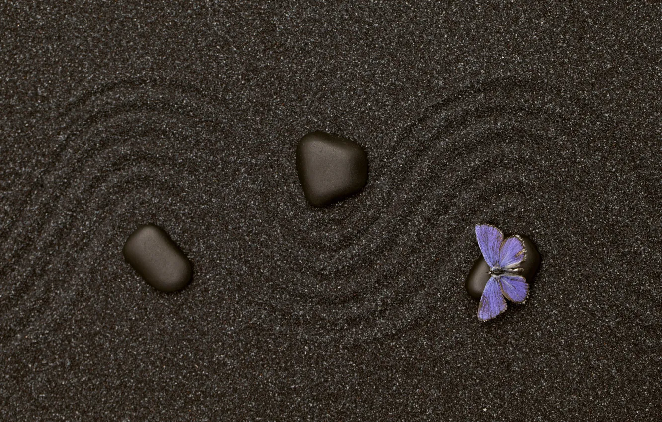 Фото обои песок, бабочка, камень, текстура