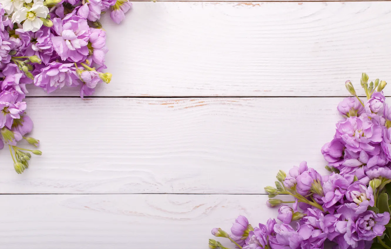 Фото обои цветы, wood, flowers, spring, violet