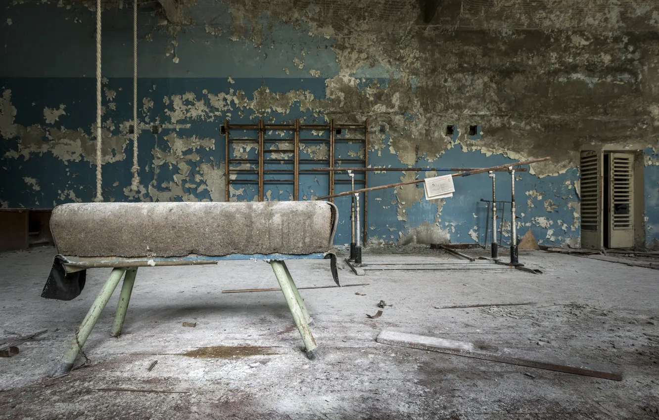 Фото обои спорт, конь, зал