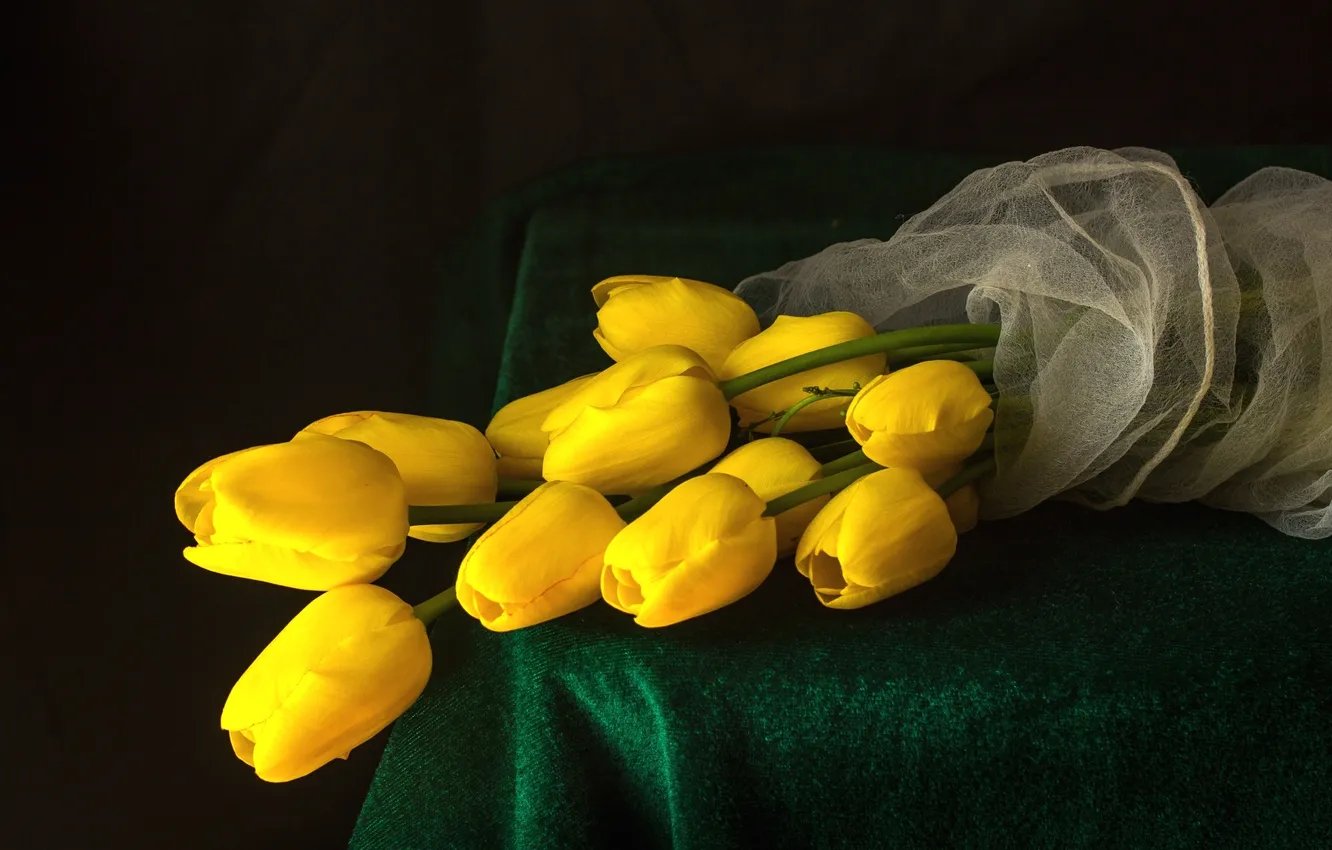 Фото обои желтый, тюльпаны, бутоны