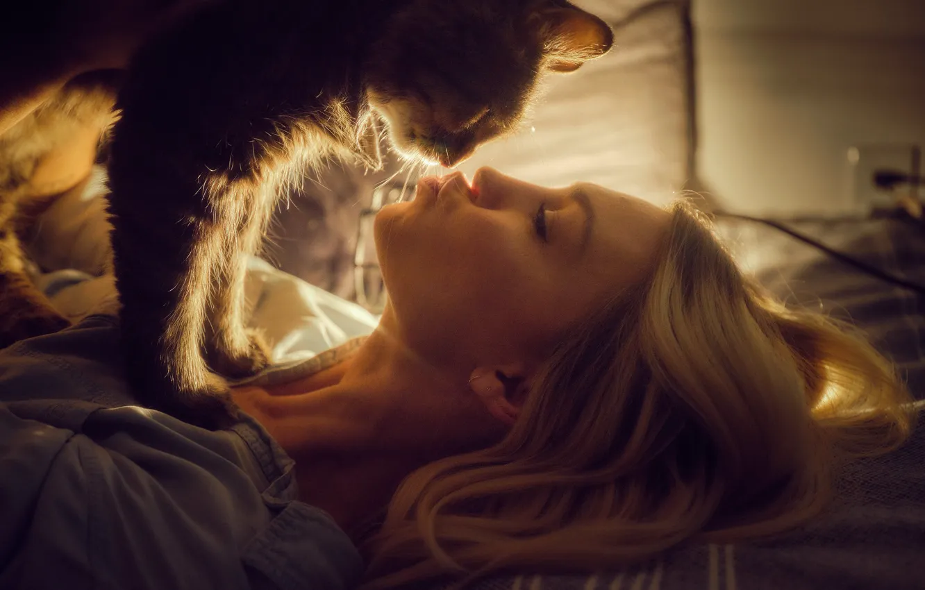 Фото обои кот, девушка, любовь, лицо, поцелуй