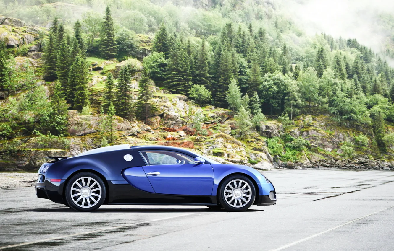 Фото обои supercar, Bugatti Veyron, бугатти, автообои, вейрон