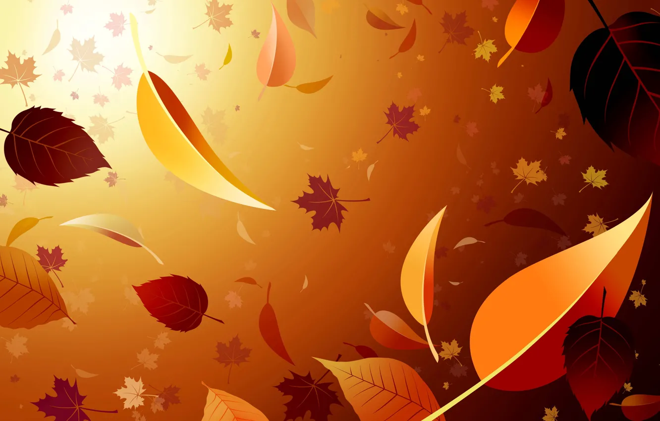 Фото обои осень, листья, свет, обои, клен, листопад