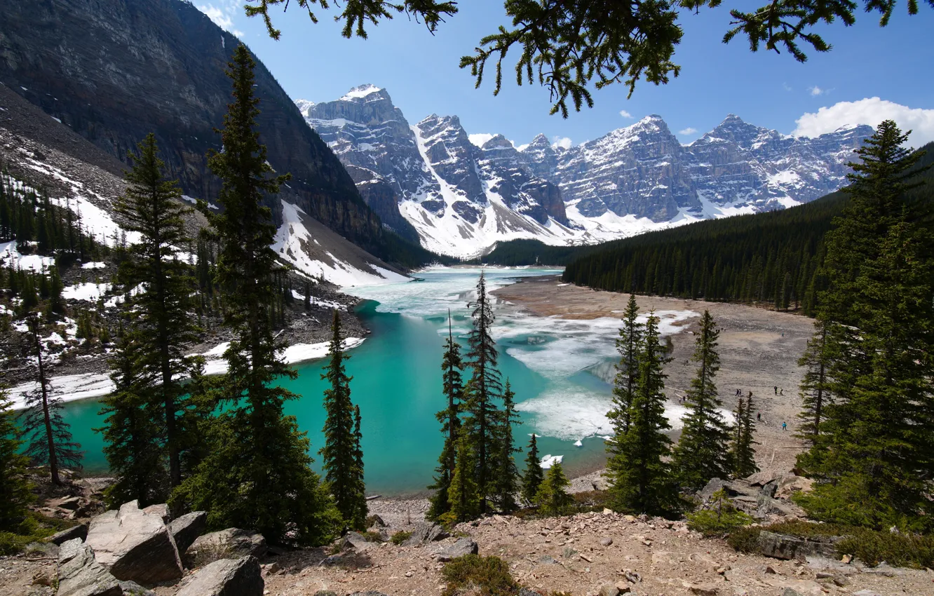 Фото обои лес, горы, озеро, лёд, ели, Канада, Альберта, Banff National Park