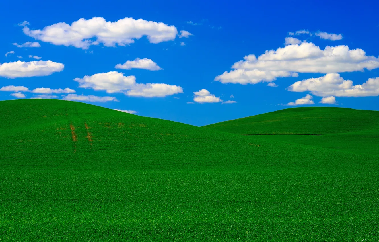 Фото обои поле, небо, облака, холмы, США, штат Вашингтон