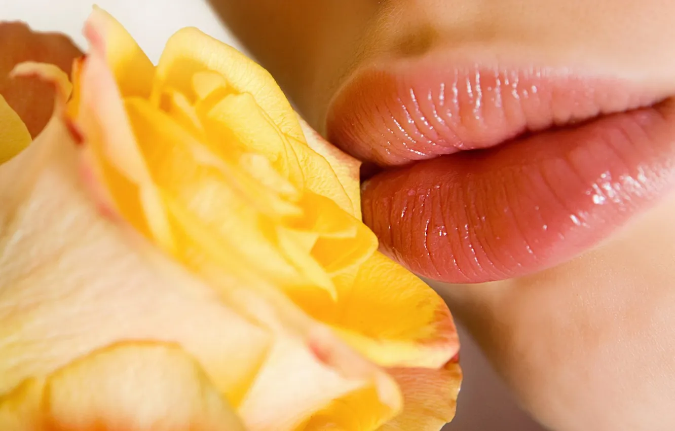 Фото обои девушка, цветы, поцелуй, губы, желтая роза