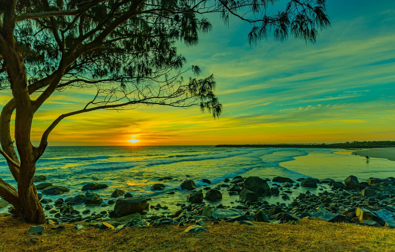 Фото обои море, солнце, закат, камни, дерево, берег