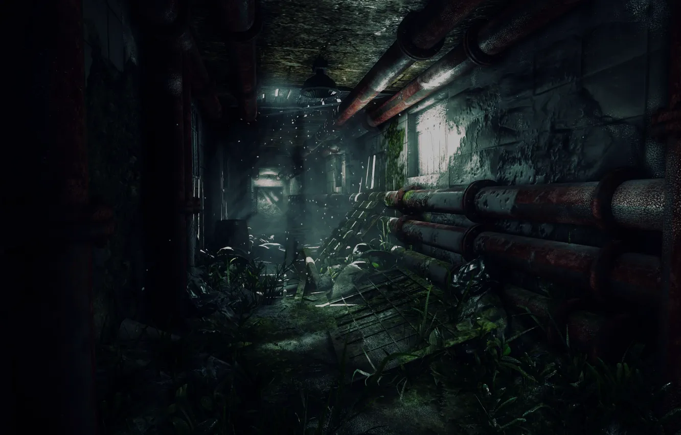 Фото обои Апокалипсис, разруха, хаос, Tom Clancy's, Ubisoft Entertainment, The Division