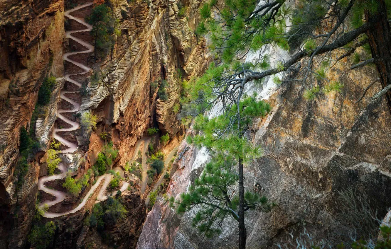 Фото обои тропа, Юта, США, серпантин, Zion National Park, Национальный парк Сион, Walter's Wiggles trail