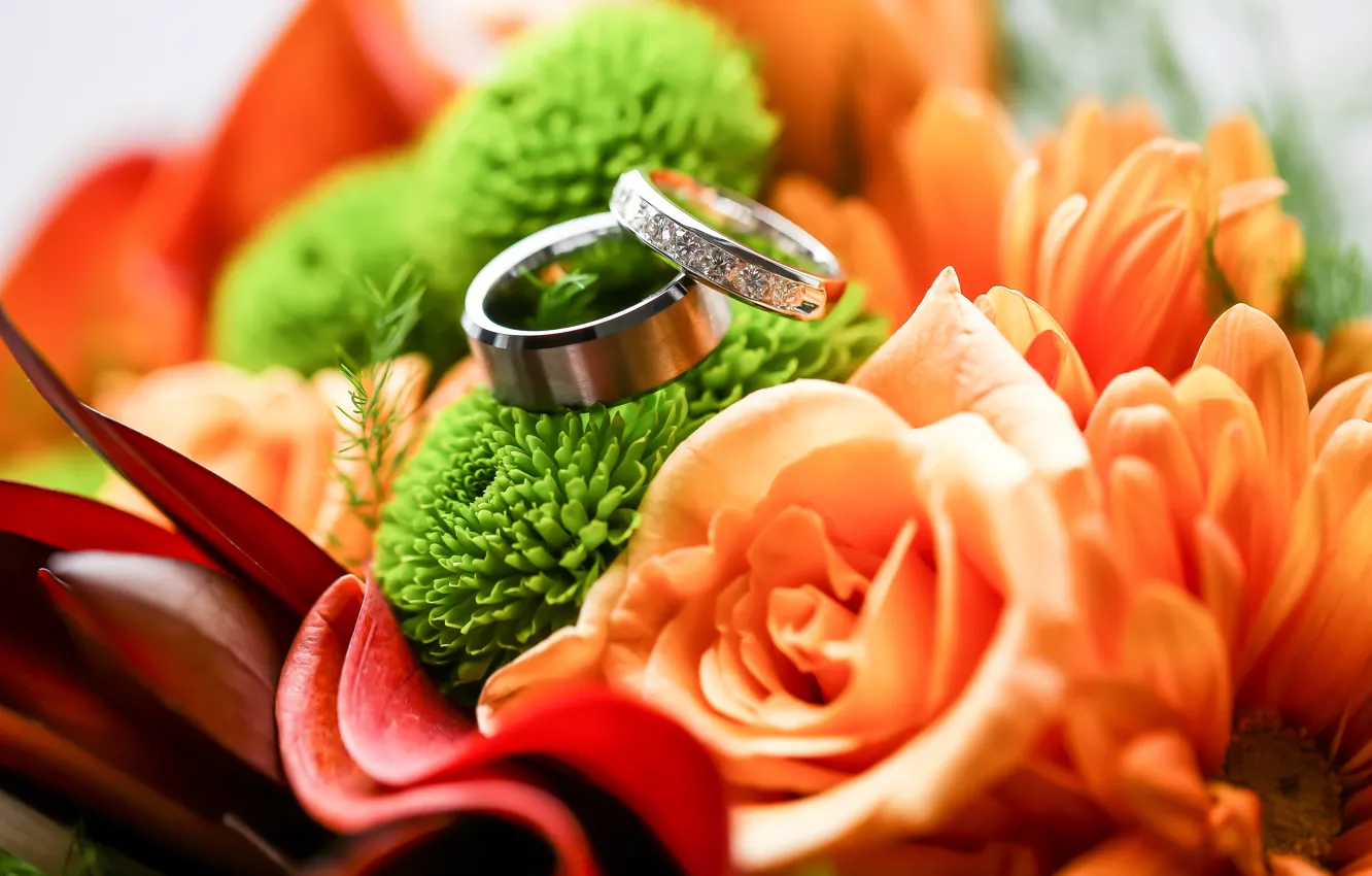 Фото обои цветы, букет, кольца, два
