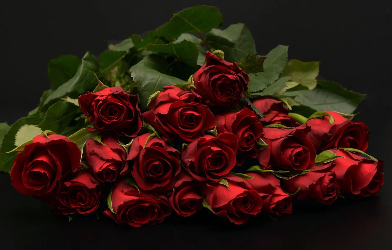 Фото обои темный фон, букет, бутоны, Красные розы