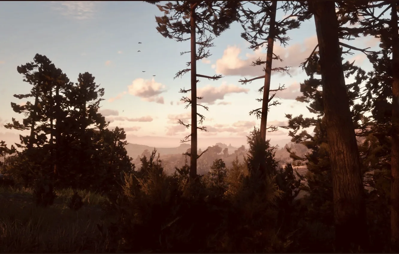 Фото обои HDR, Clouds, Sky, Birds, Wood, Mountain, Game, Evening
