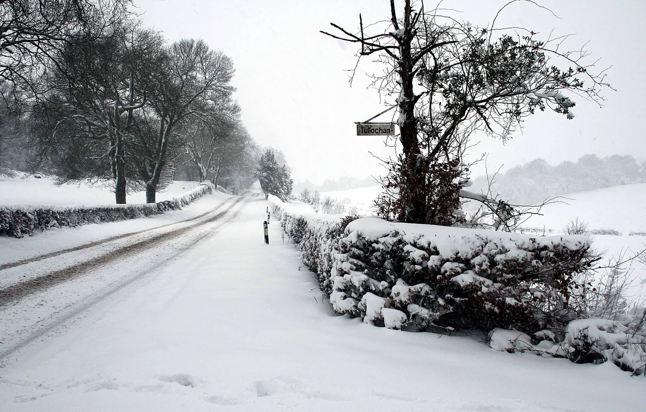 Фото обои зима, дорога, снег
