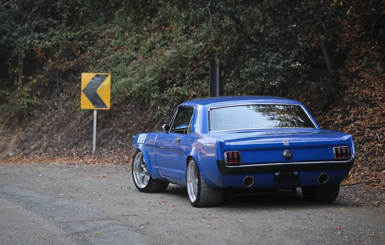 Фото обои Mustang, Blue, Custom