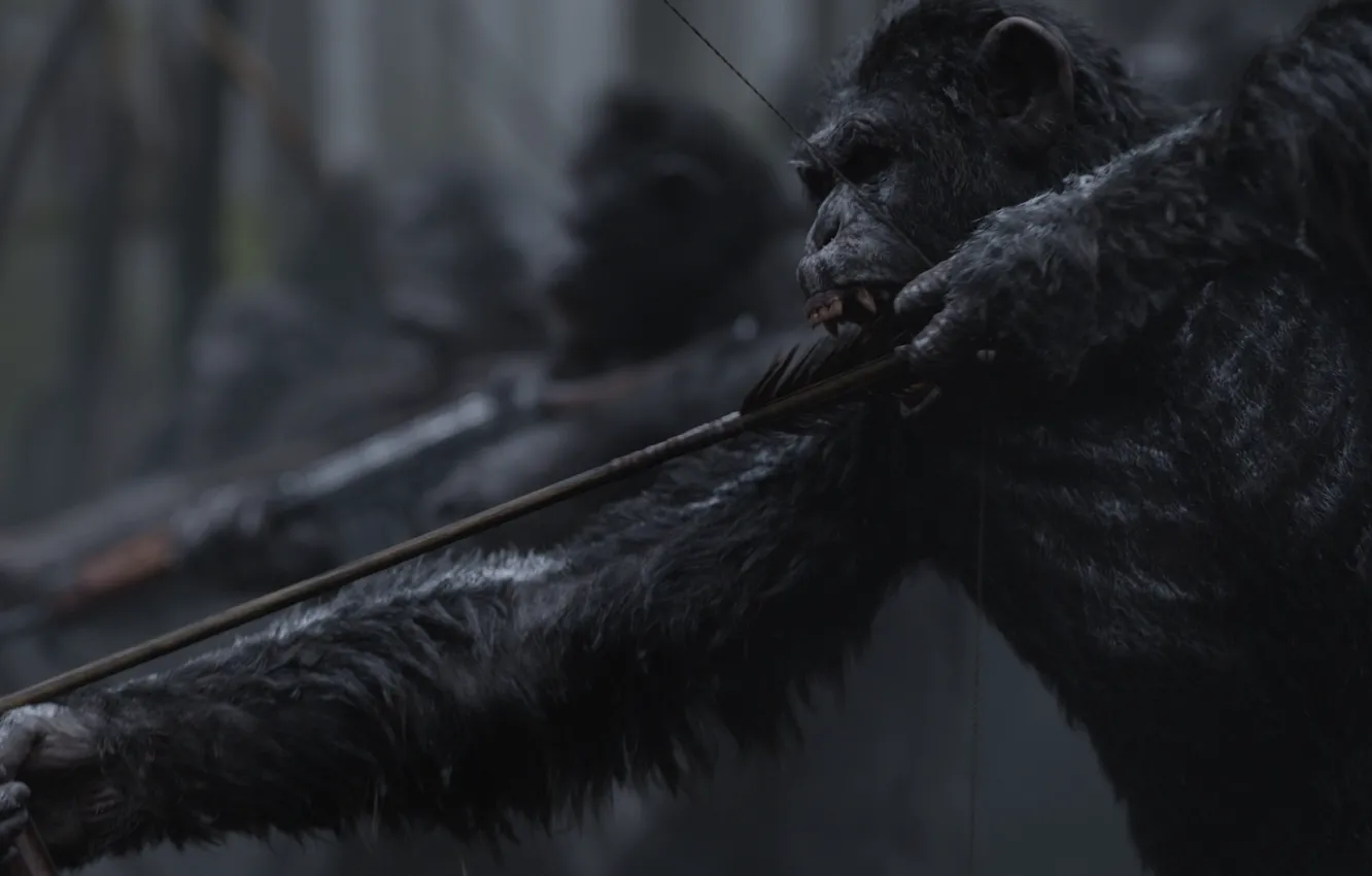 Фото обои monkey, bow, warrior, arrow, florest, war paint, saru, War for the Planet of the Apes
