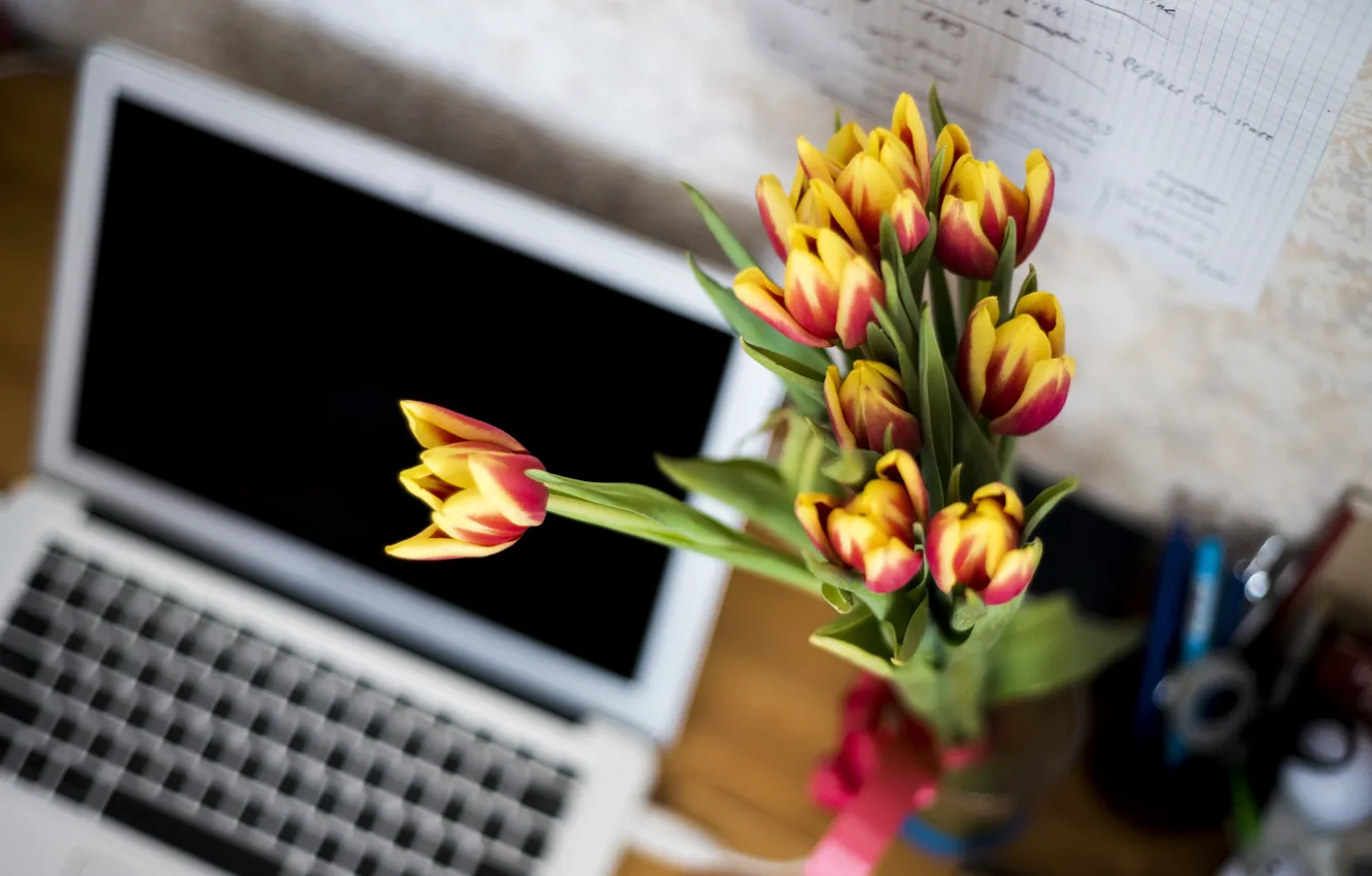 Фото обои цветы, тюльпаны, ноутбук