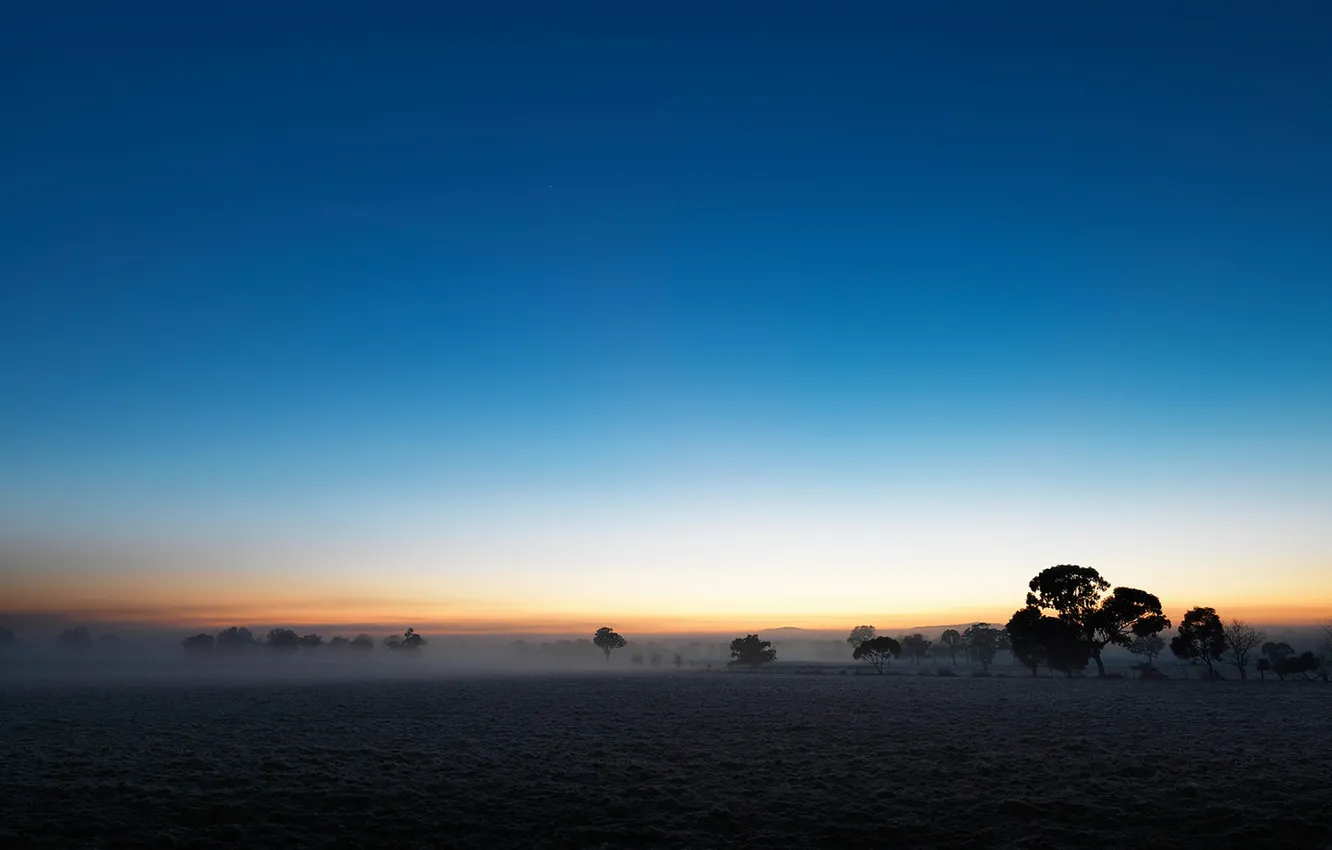 Фото обои поле, небо, туман, равнина, сумерки