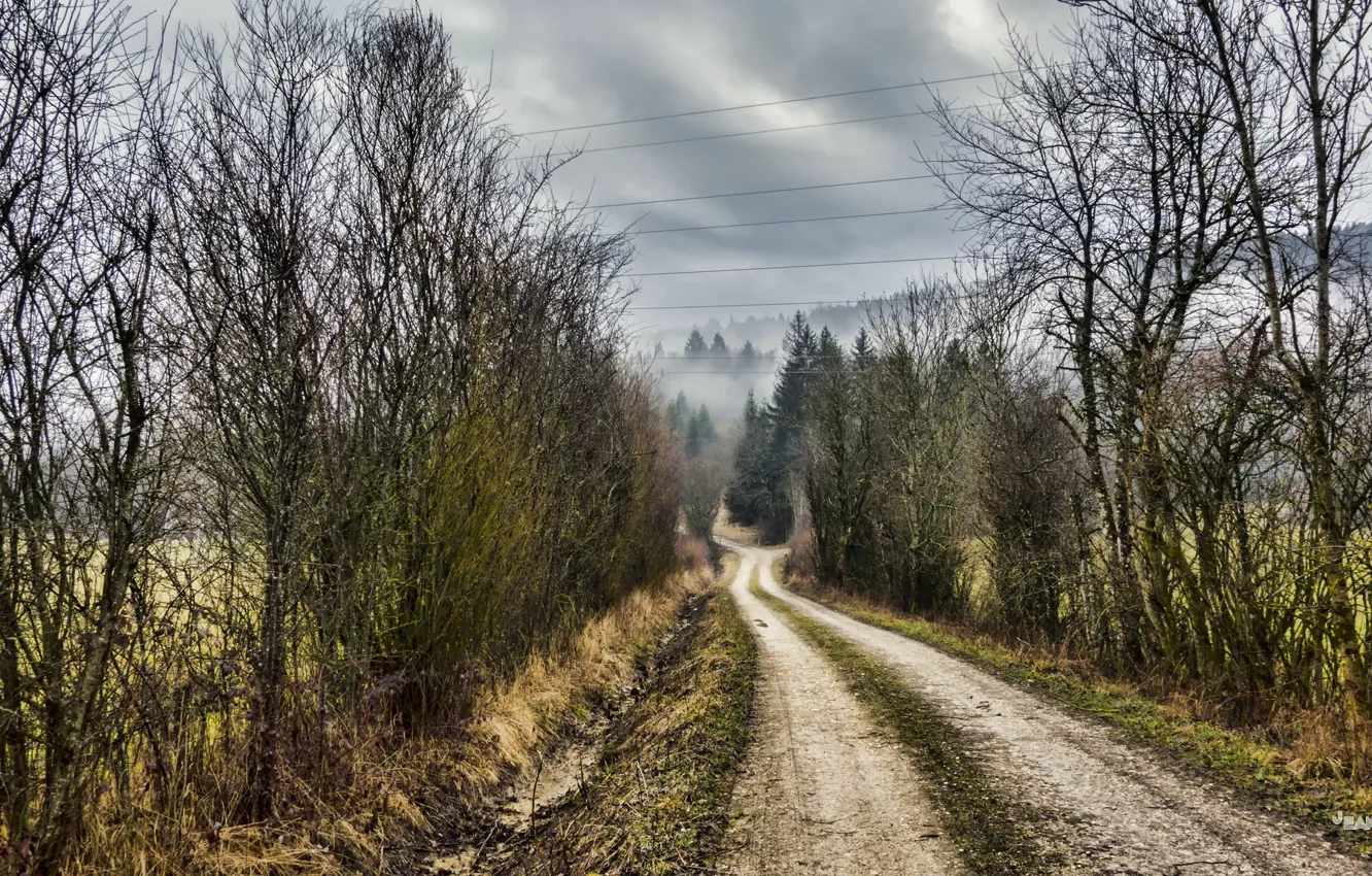 Фото обои дорога, осень, природа