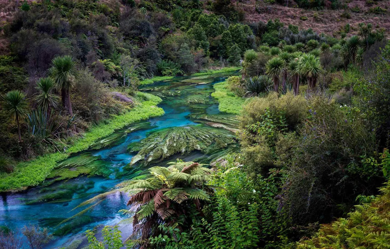 Фото обои Landscape, hills, stream