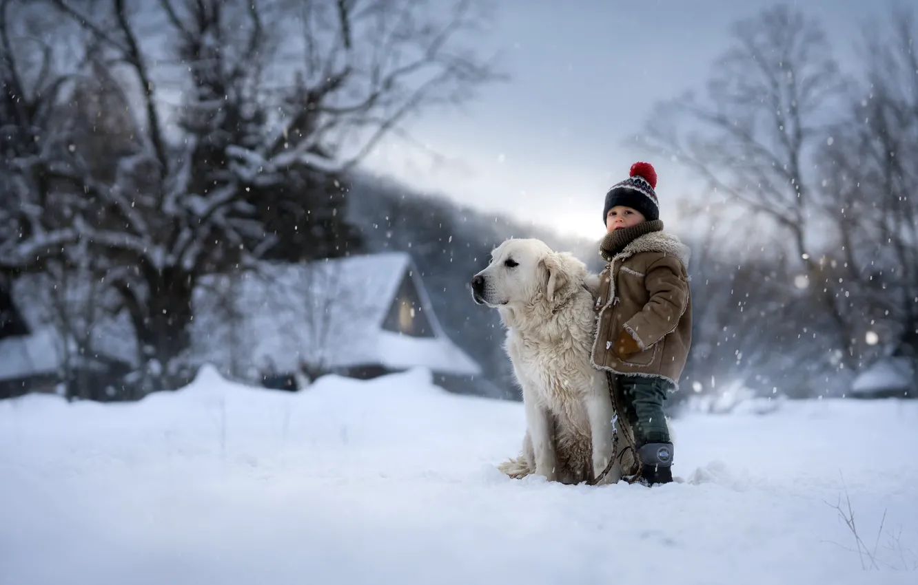 Фото обои зима, собака, мальчик
