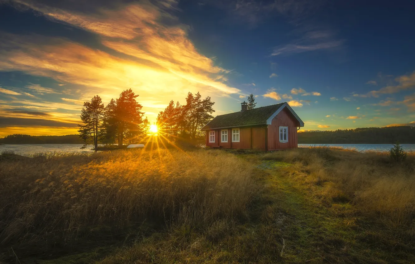 Фото обои деревья, закат, озеро, дом, Норвегия, камыш, Norway, Рингерике