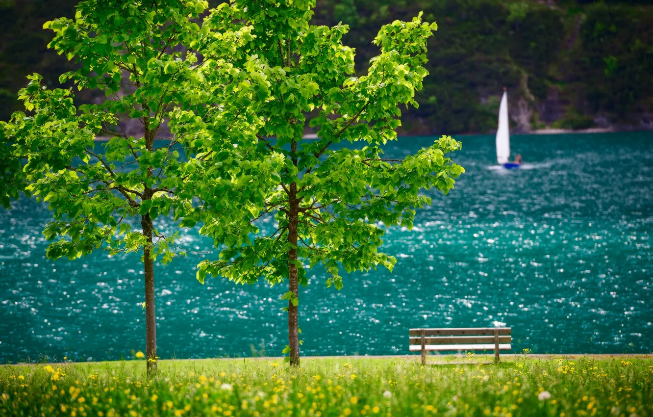 Фото обои деревья, пейзаж, озеро, лодка, Австрия, парус, скамья, Тироль