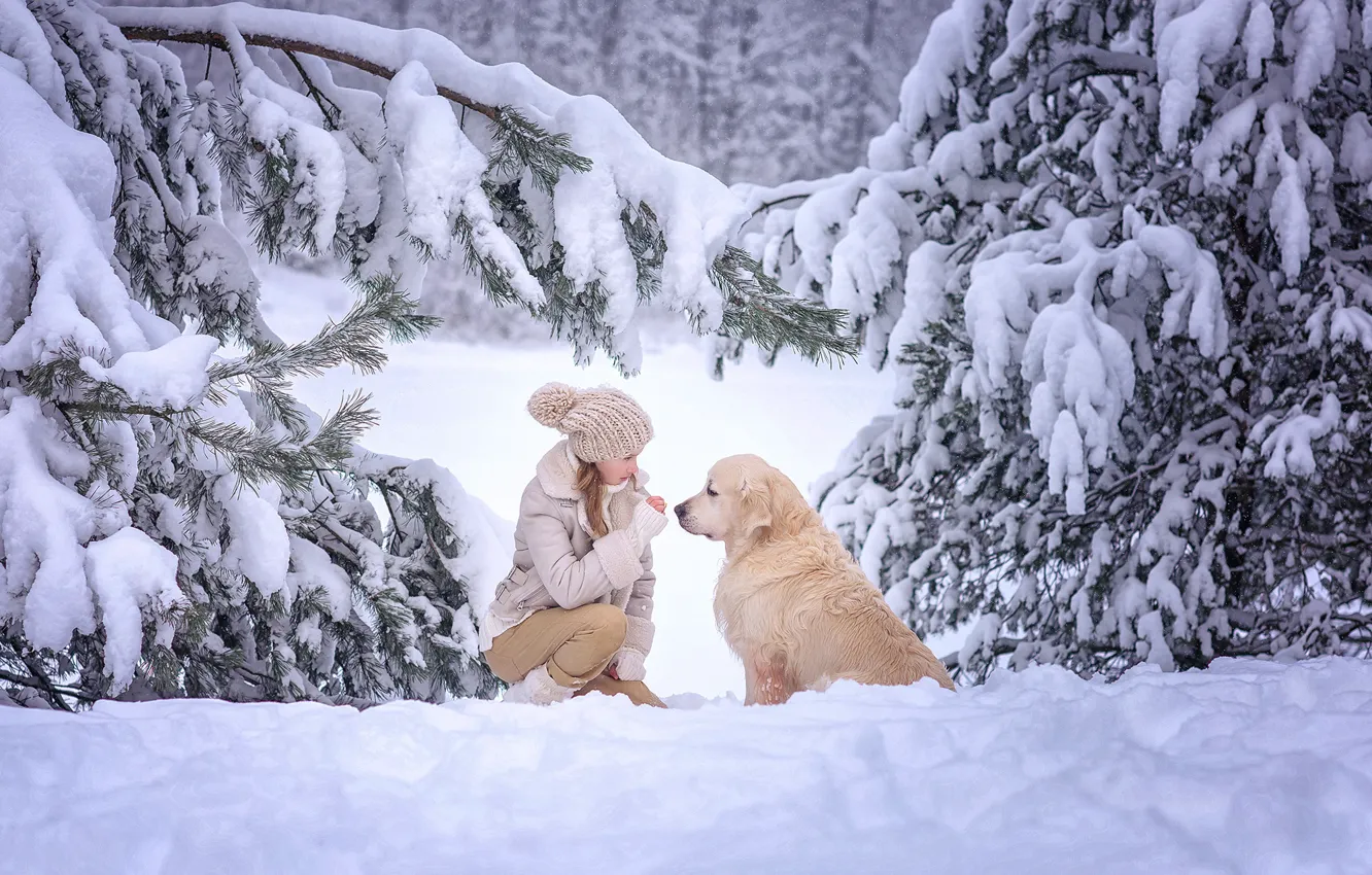 Фото обои зима, девушка, снег, деревья, природа, собака, ели, пёс