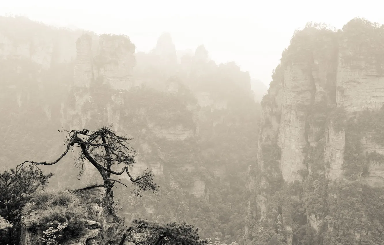 Фото обои горы, дерево, скалы, растительность, Китай