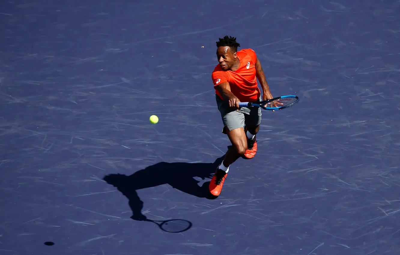 Фото обои Legend, French, Gael, Monfils, Gael Monfils, La Monf, Sliderman