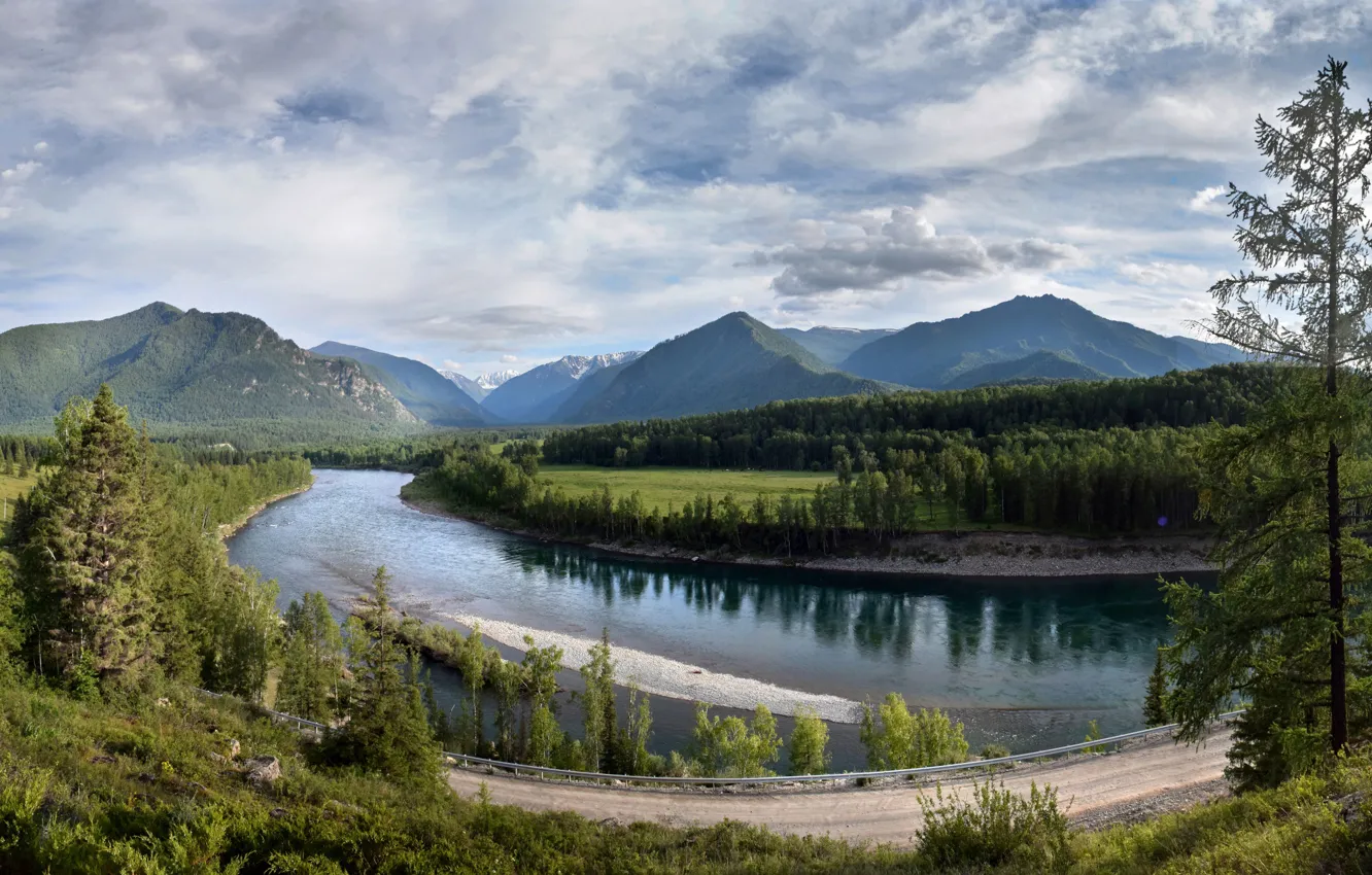 Фото обои дорога, лес, горы, река, долина, Россия, Алтай, Алтайские горы