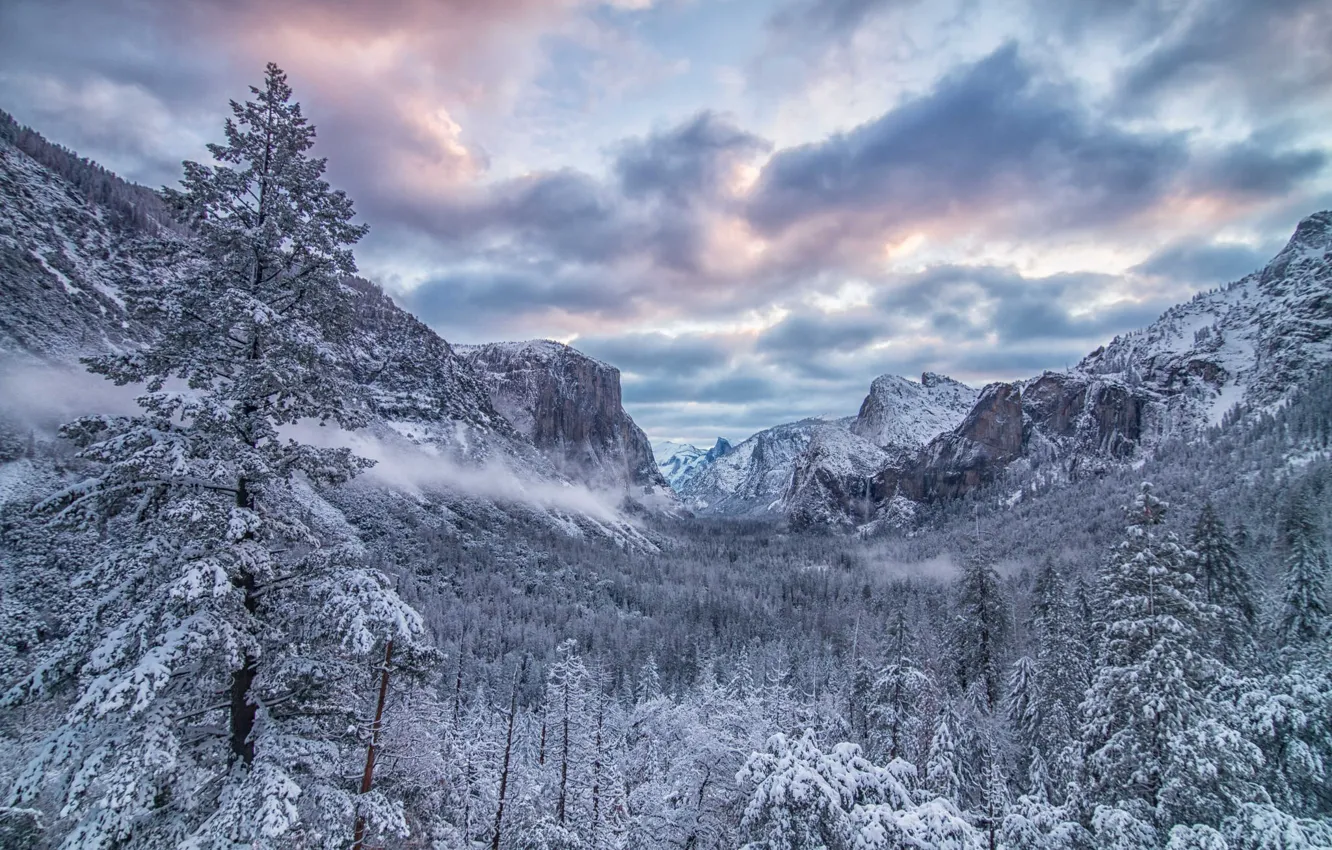 Фото обои зима, лес, деревья, горы, долина, Калифорния, California, Yosemite Valley