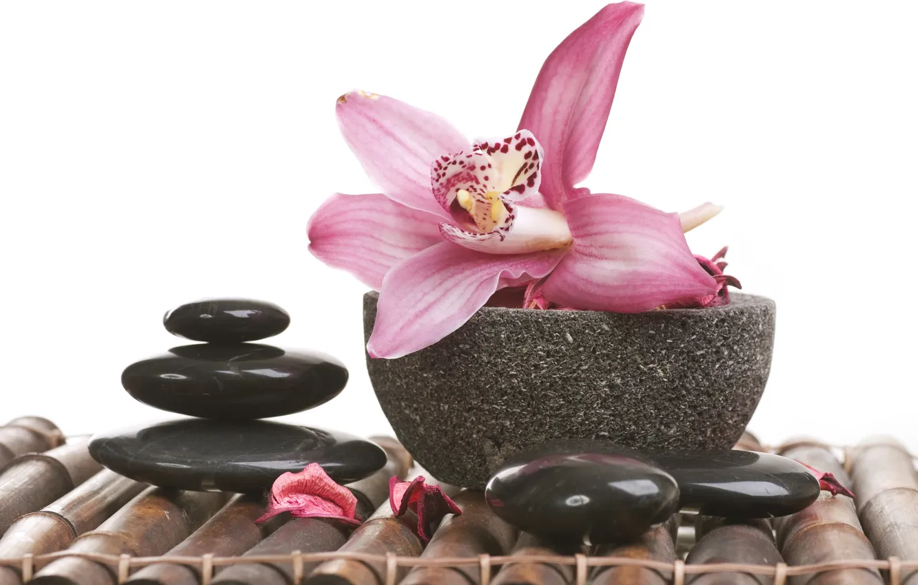 Фото обои бамбук, лепестки, миска, орхидея, спа камни