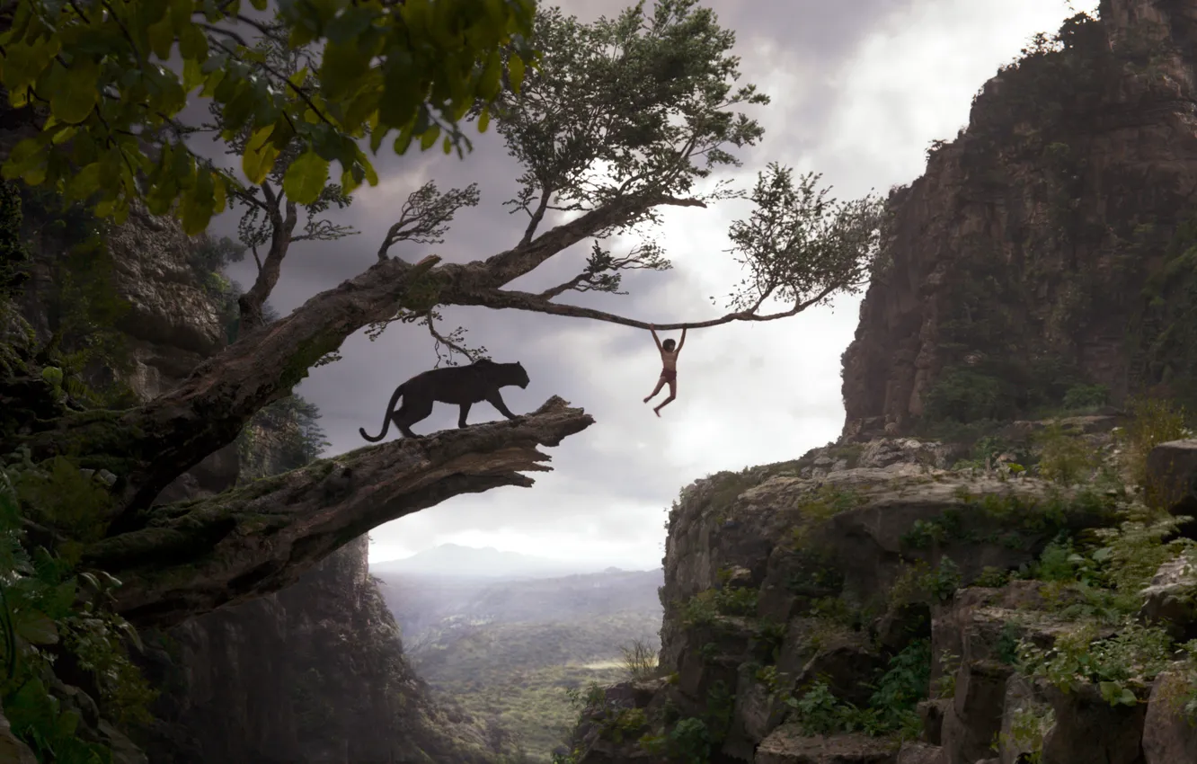 Фото обои мальчик, пантера, Багира, Маугли, The Jungle Book, Книга джунглей