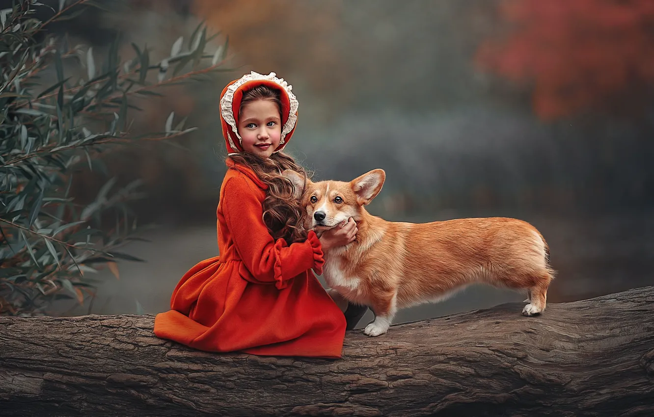 Фото обои дерево, животное, собака, девочка, ребёнок, пёс, Ксения Лысенкова