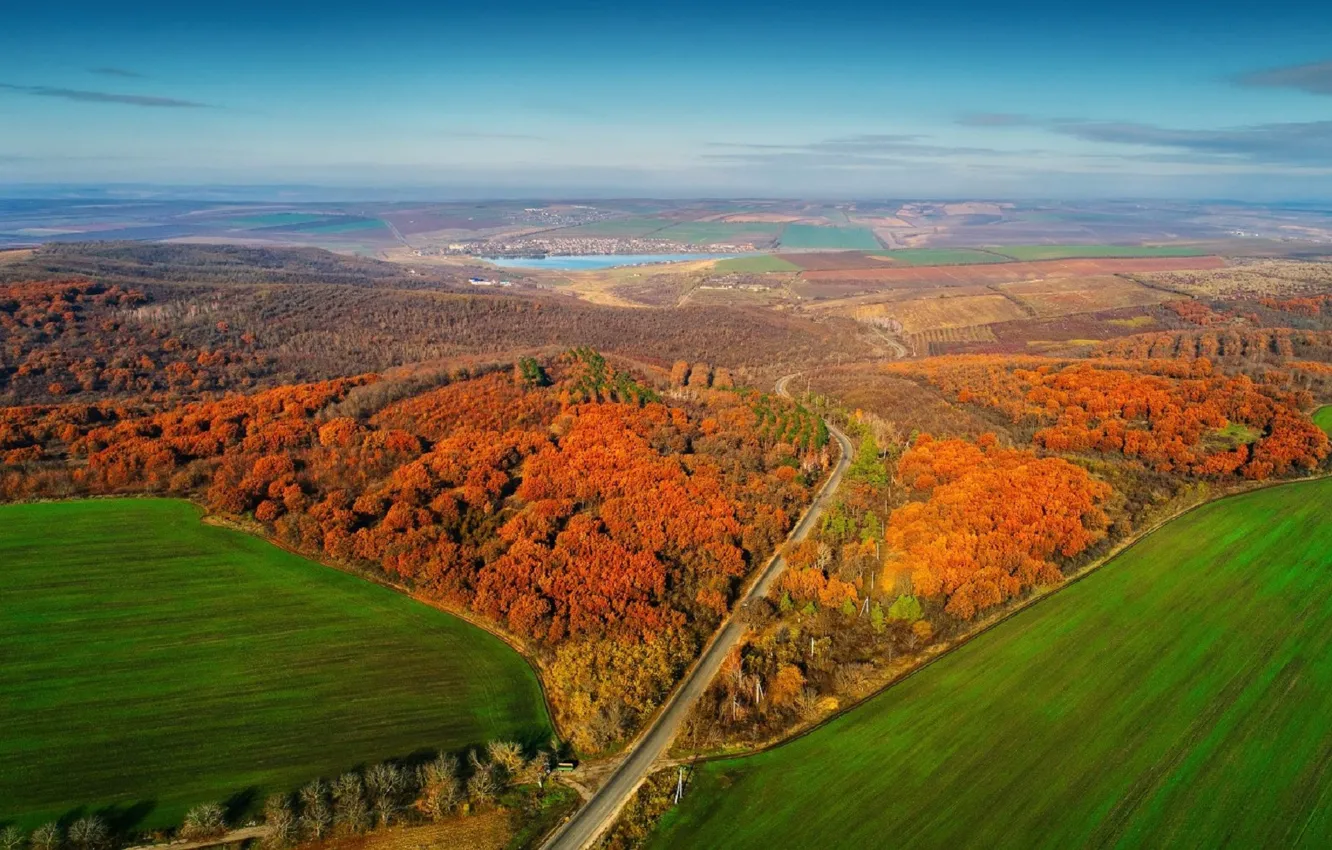Фото обои осень, лес, Панорама, Молдова