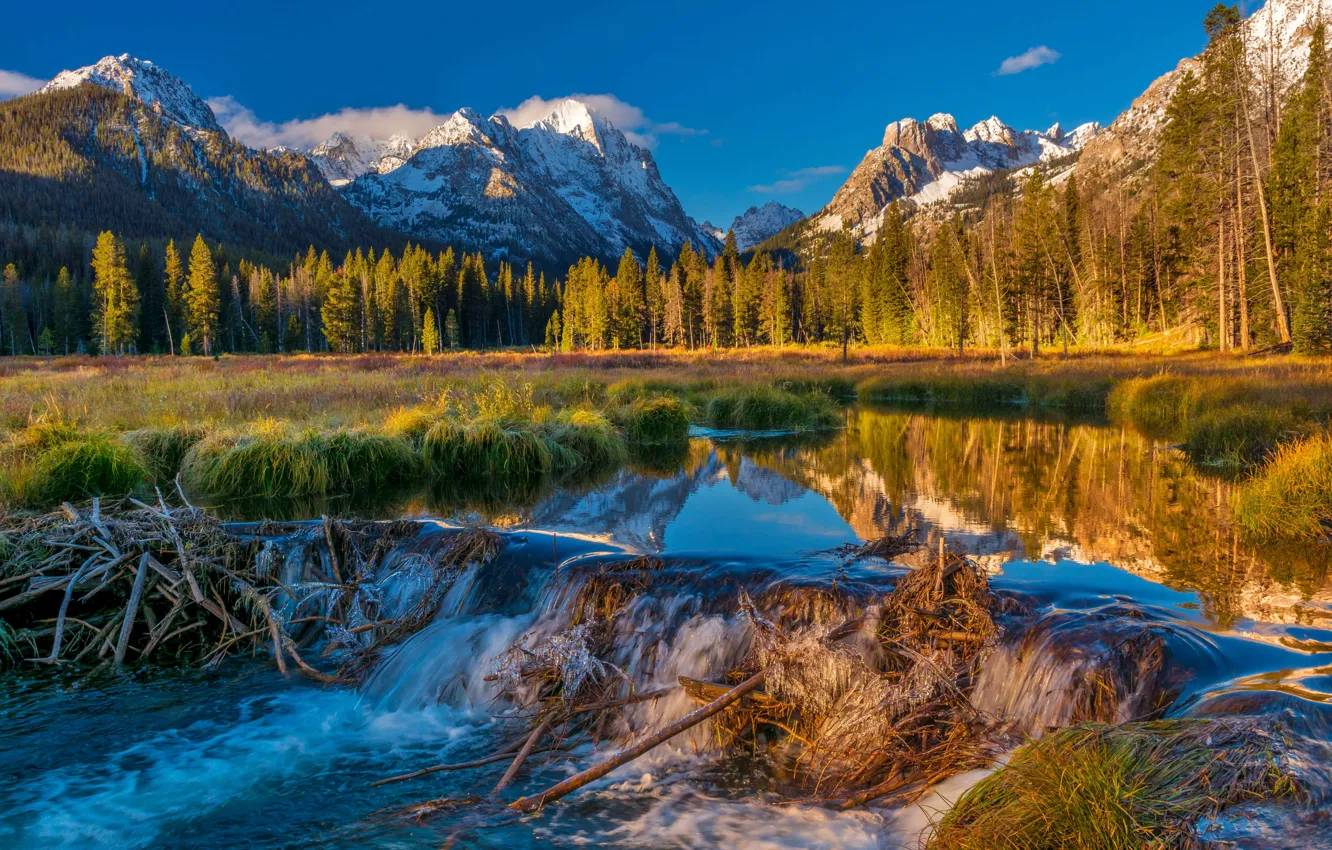 Фото обои США, Айдахо, Sawtooth National Forest, бобровая плотина