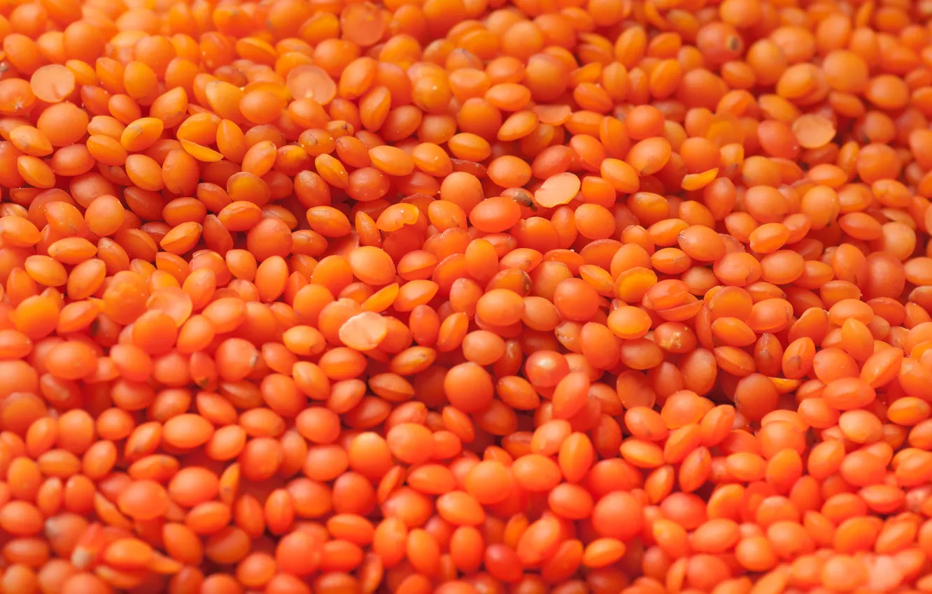 Фото обои оранжевая, семена, чечевица