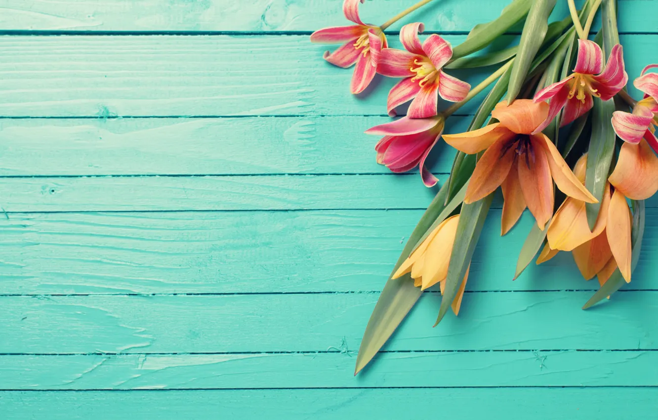 Фото обои цветы, букет, тюльпаны, wood, flowers, tulips, spring