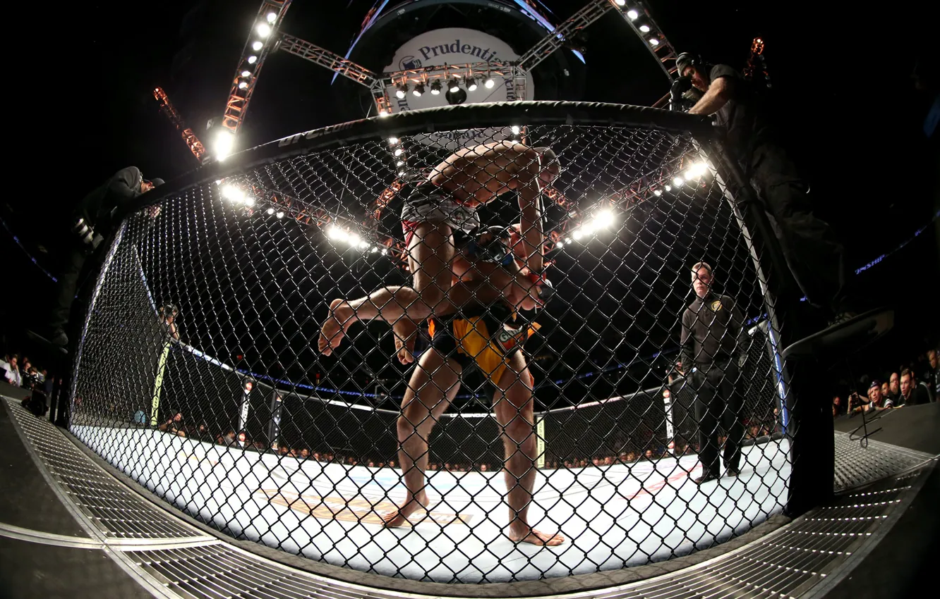 Фото обои MMA, UFC, Cage