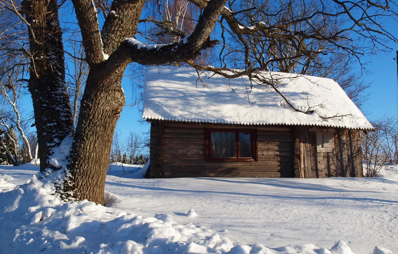 Фото обои зима, небо, снег, дерево, склон, домик