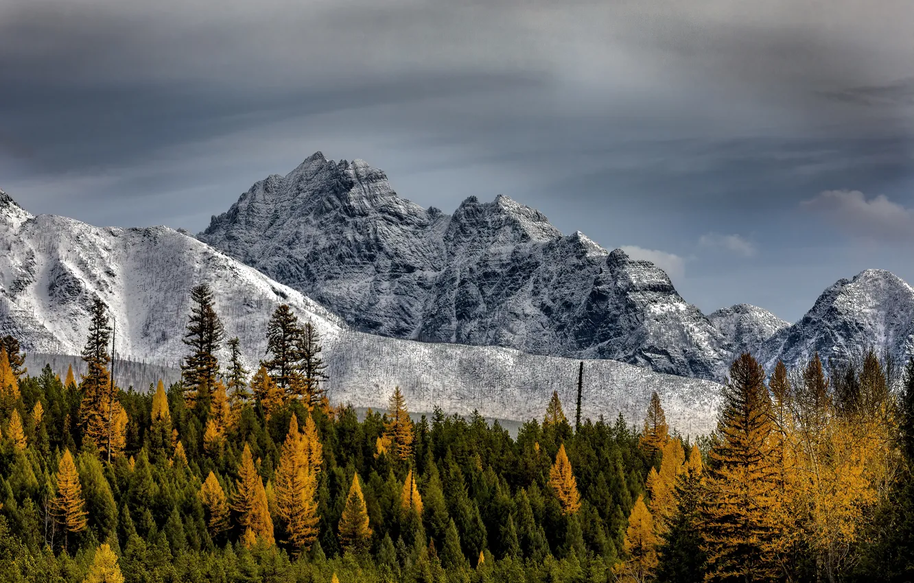 Фото обои зима, осень, лес, небо, облака, снег, деревья, горы