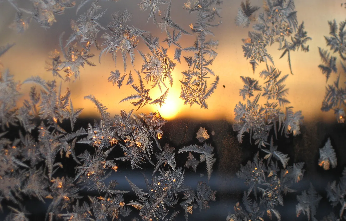 Фото обои холод, зима, стекло, макро, закат, мороз