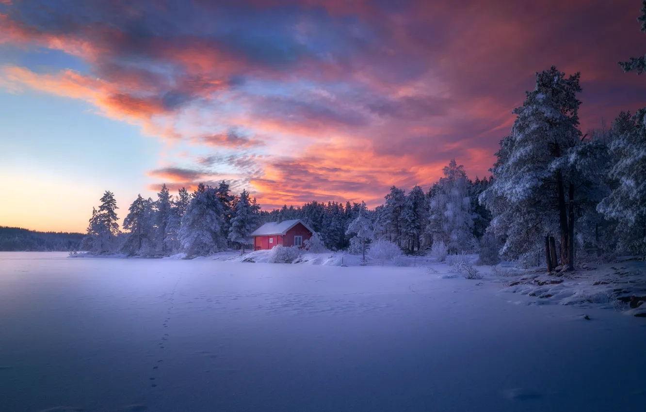 Фото обои зима, лес, небо, снег, дом, краски, домик