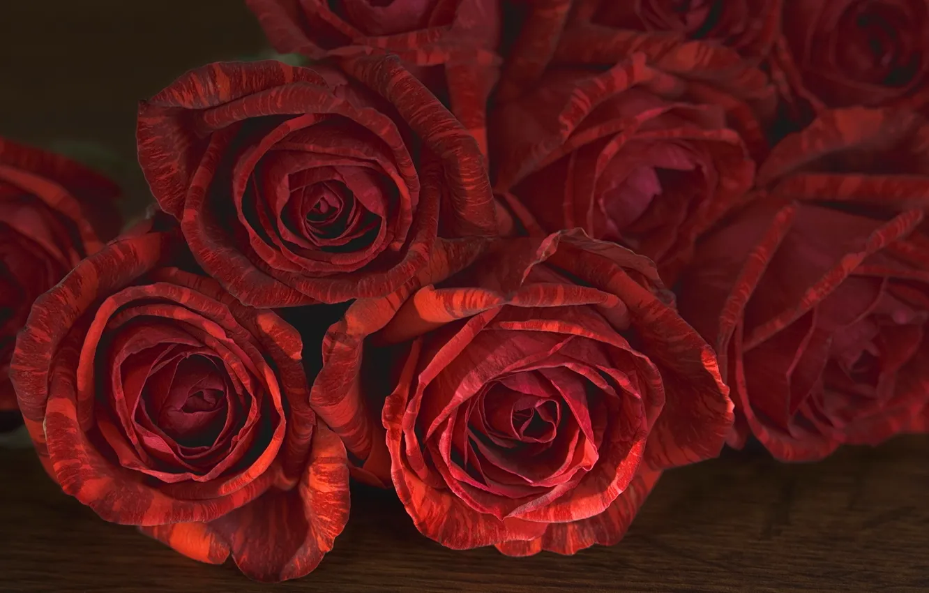 Фото обои розы, лепестки, бутоны